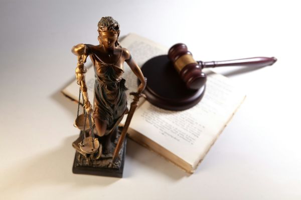 Comment un avocat en droit de l'environnement peut agir pour l'écologie
