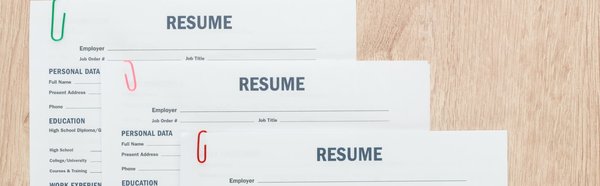 Modèle de CV : quel type de CV pour votre profil ?
